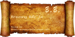 Brezsny Béla névjegykártya